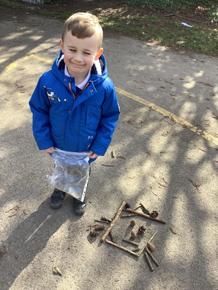 Pictures made with natural resources.