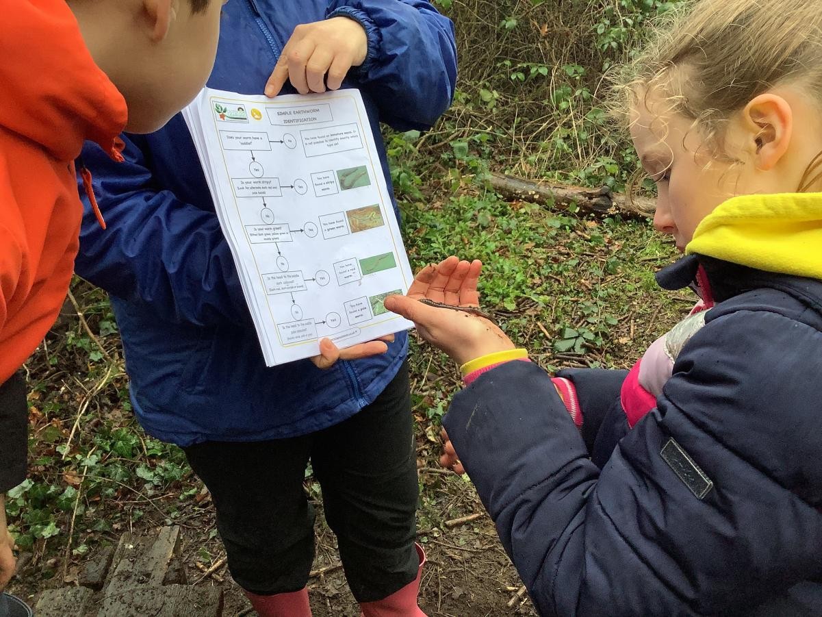 Worm identification using a flow diagram.