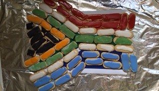 South Africa Harvest