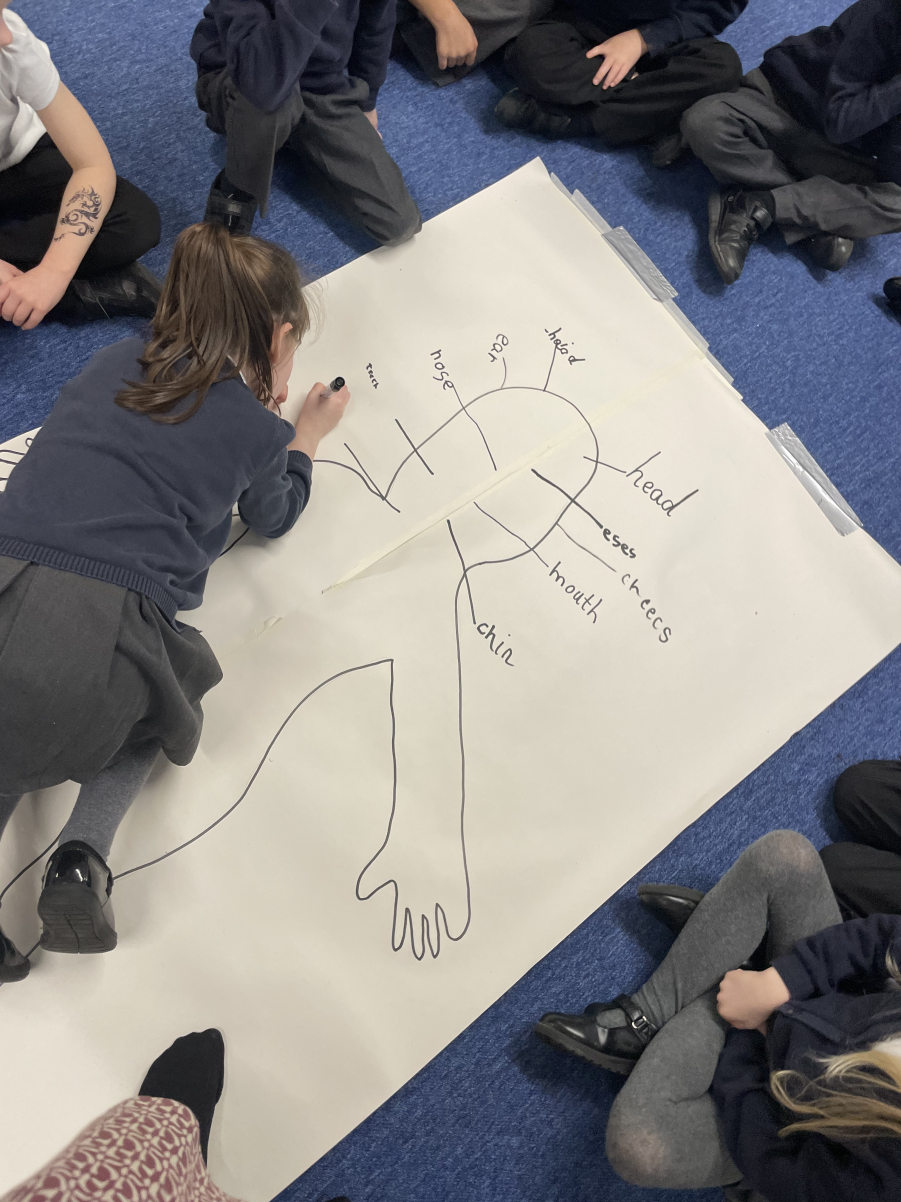 Finding out about the human body in Year 1