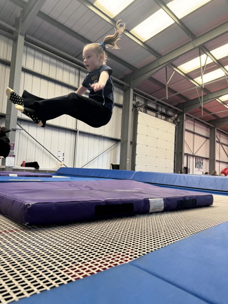 Year 2 - Gymnastics workshop