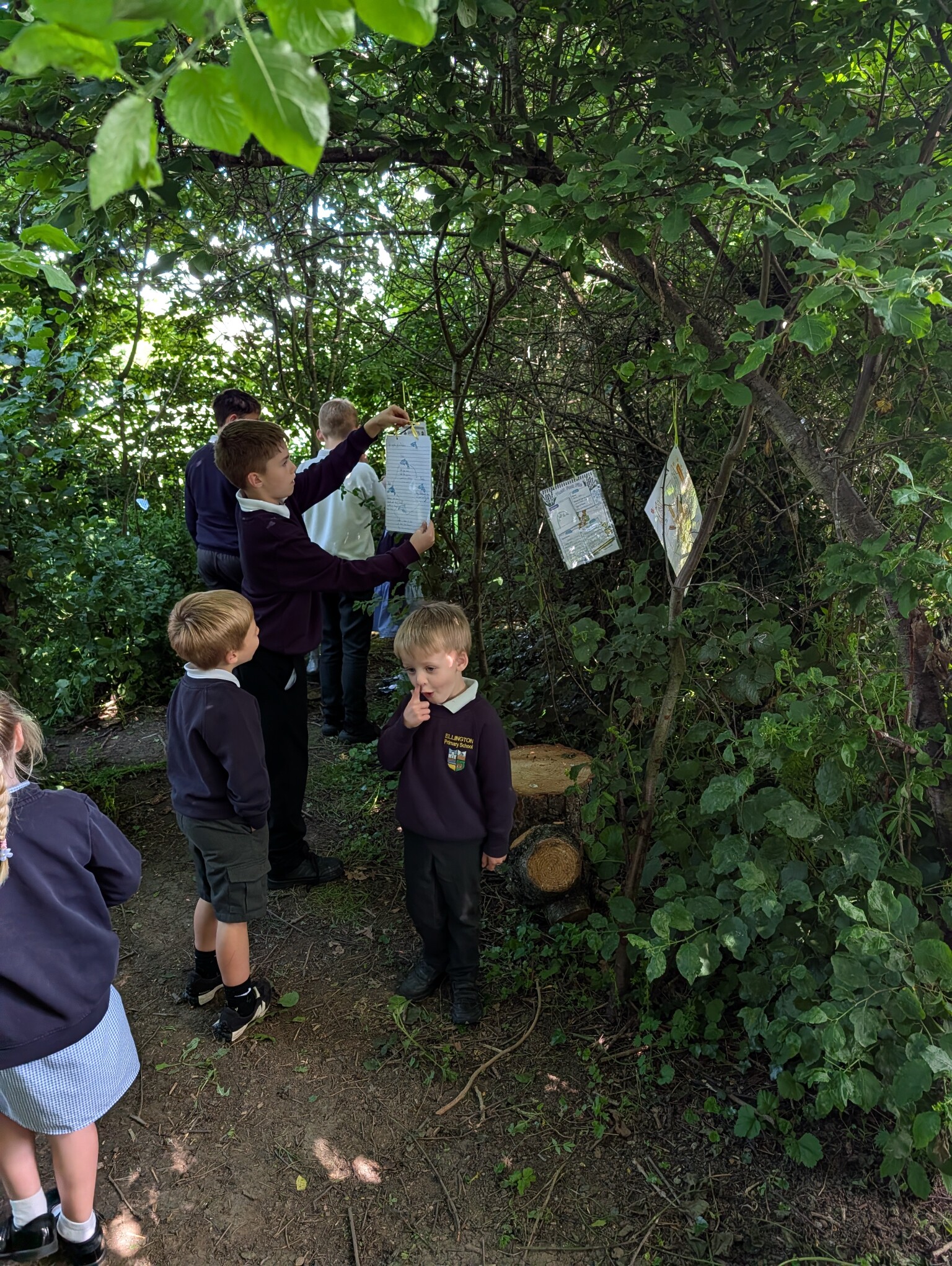 Year 5 working with Reception