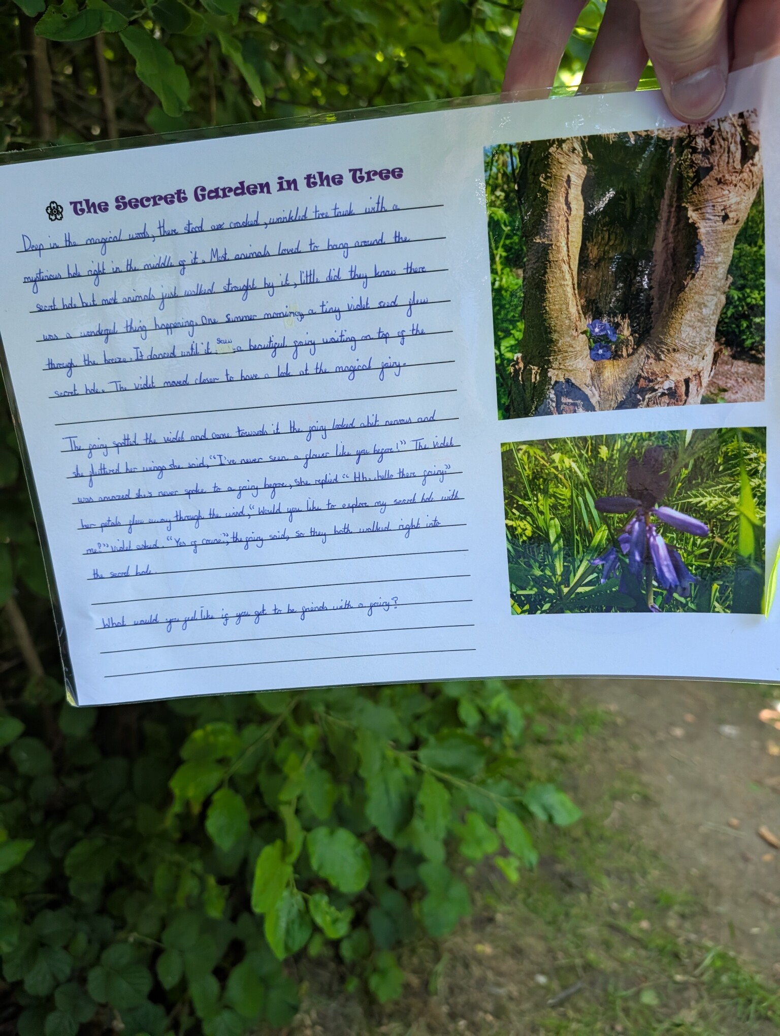 Information guides in our forest school