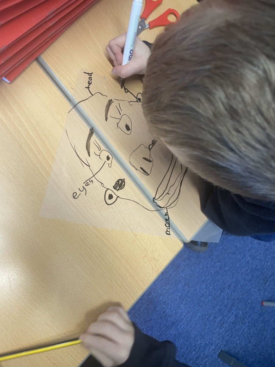 Investigating senses in Year 1