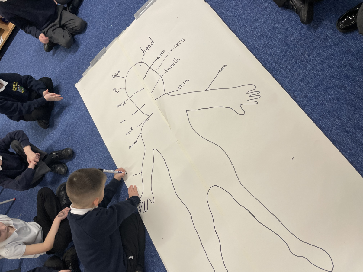 Finding out about the human body in Year 1