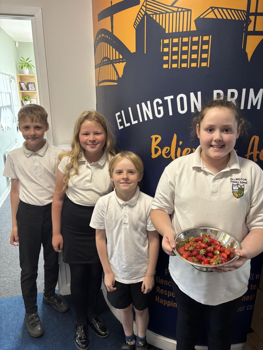 Fresh Strawberries picked by our Eco Council from the school allotment.