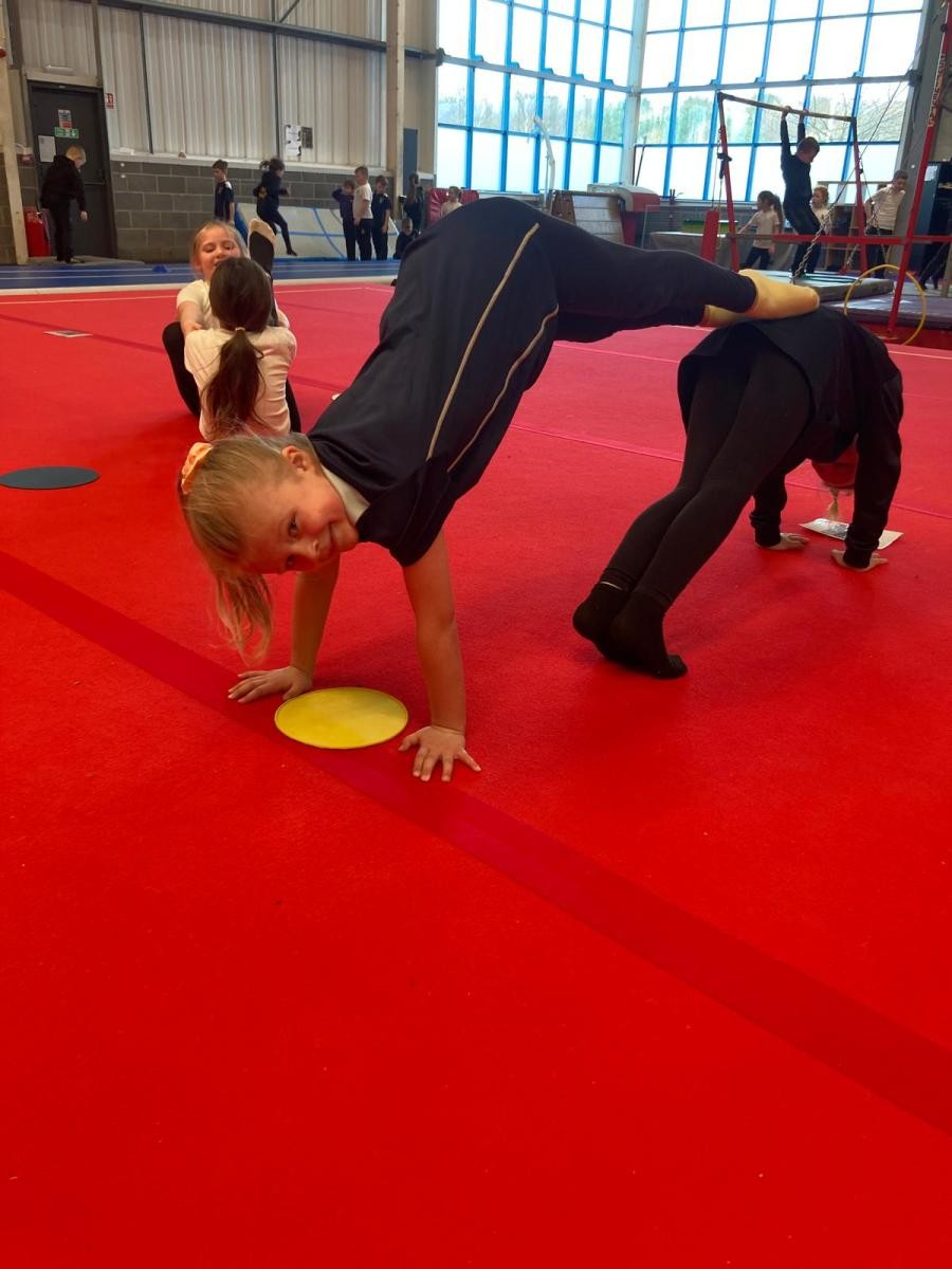 Year 2 - Gymnastics workshop