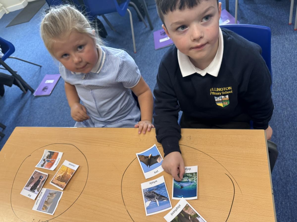 Pupils in the classroom