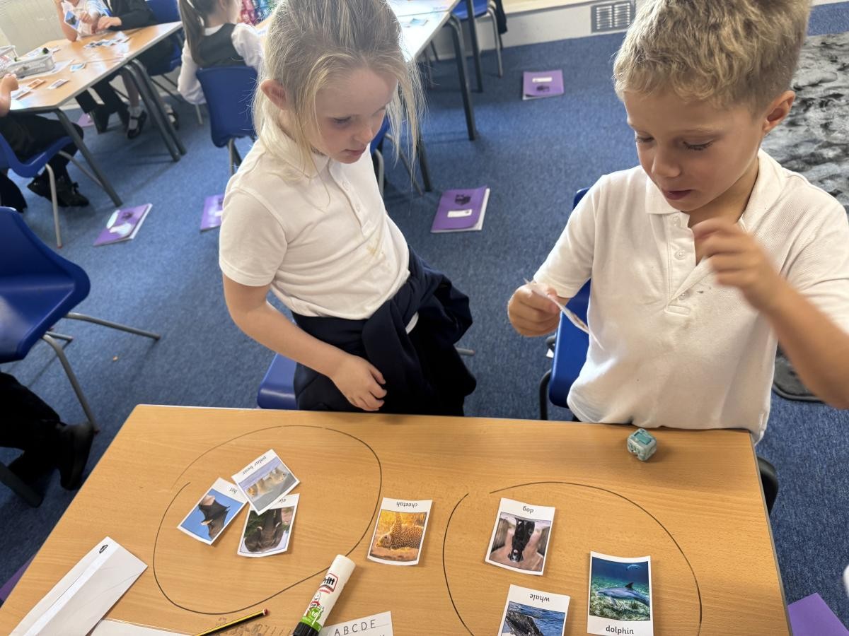 Pupils sorting animal images