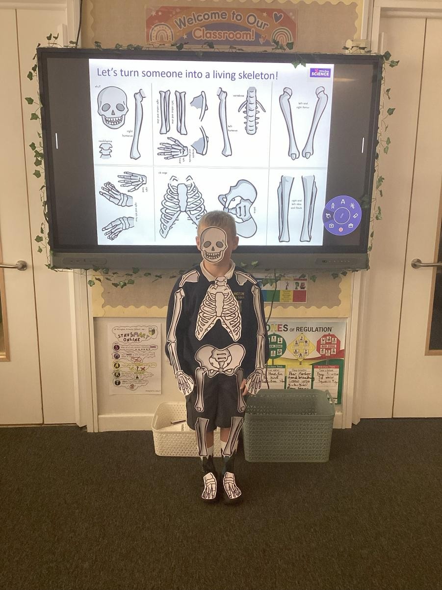 Pupil with cut outs of parts of the skeleton attached to them