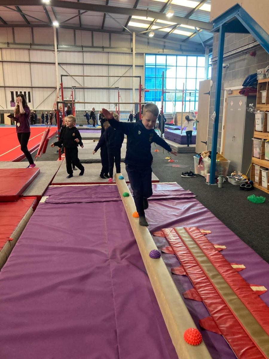 Year 2 - Gymnastics workshop