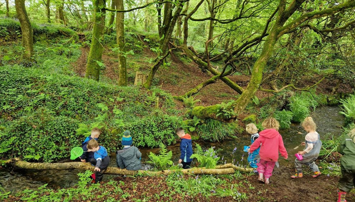 Forest exploring