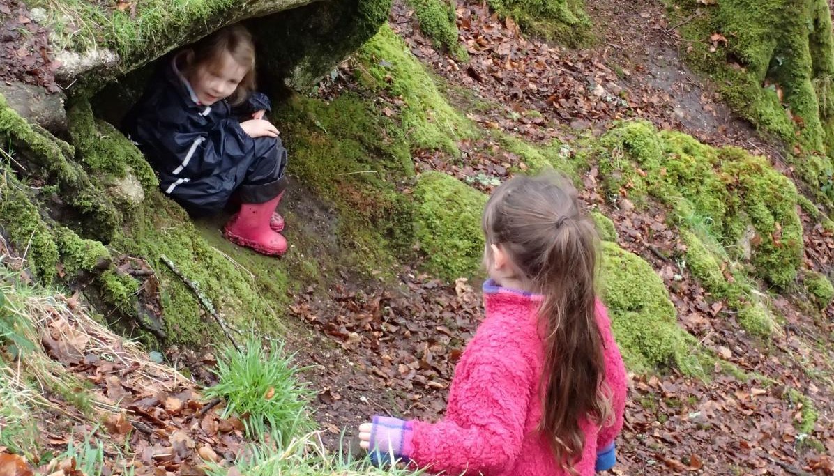 Forest Playing
