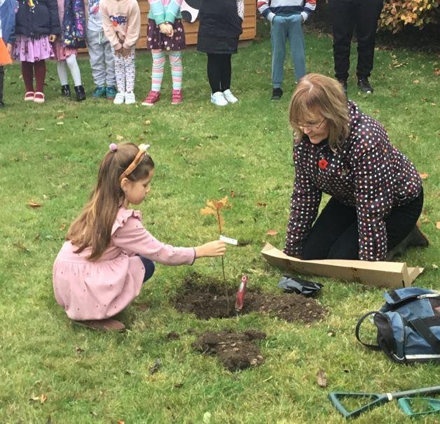 Planting our Jubilee Oak tree