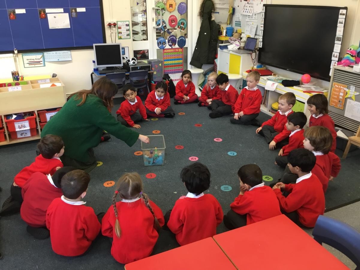 Eco Warrior - learning about water pollution