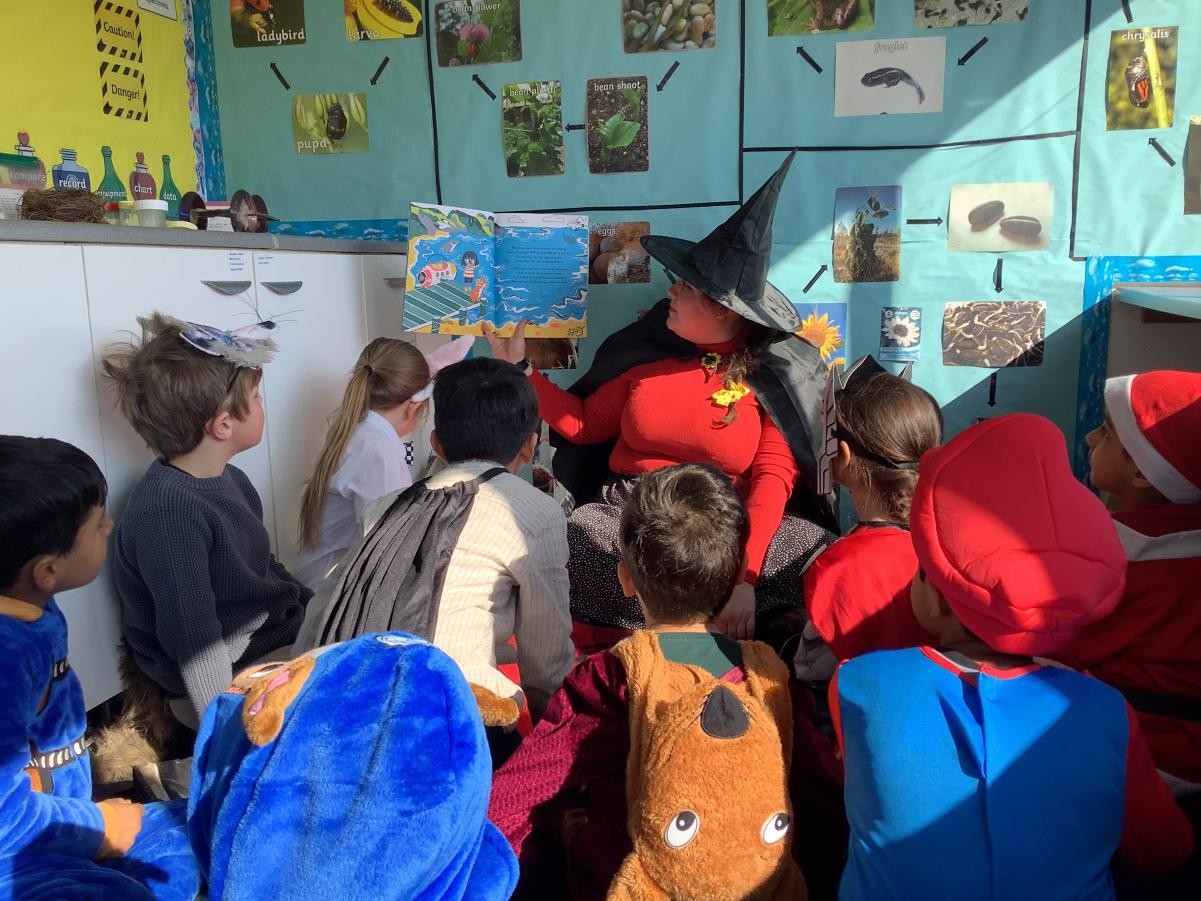 Stories from the Science Shed