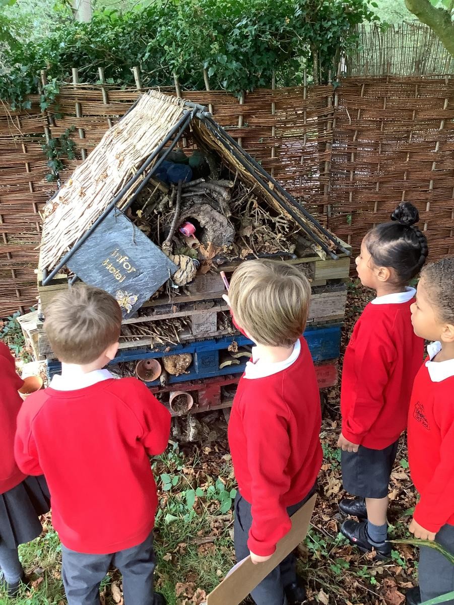 Hunting for signs of Autumn at school