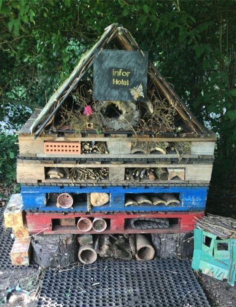 Bug Hotel