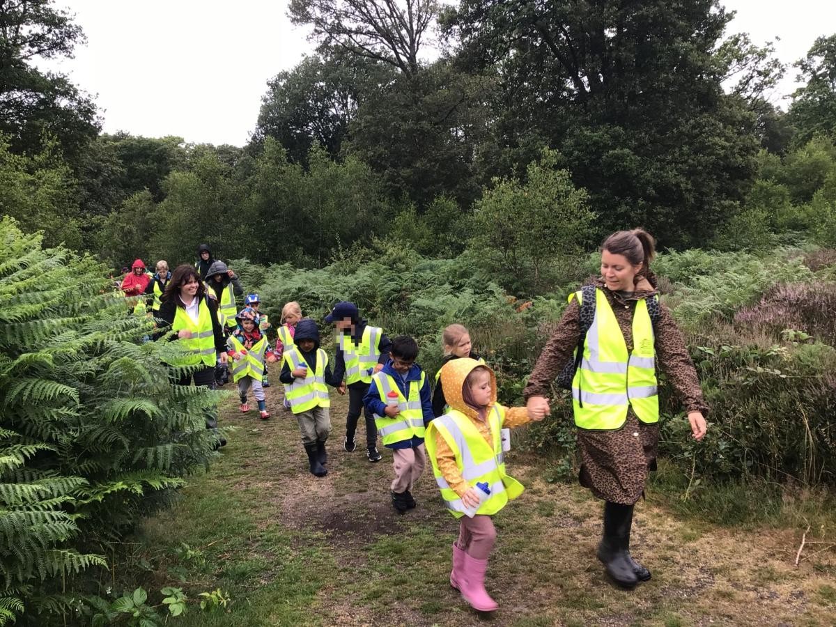 Fieldwork at Burnham Beeches