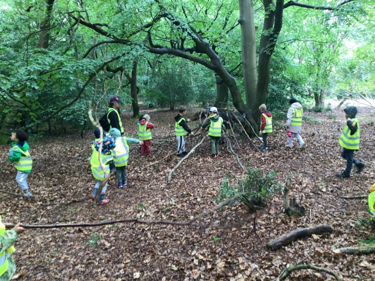 Exploring woodland
