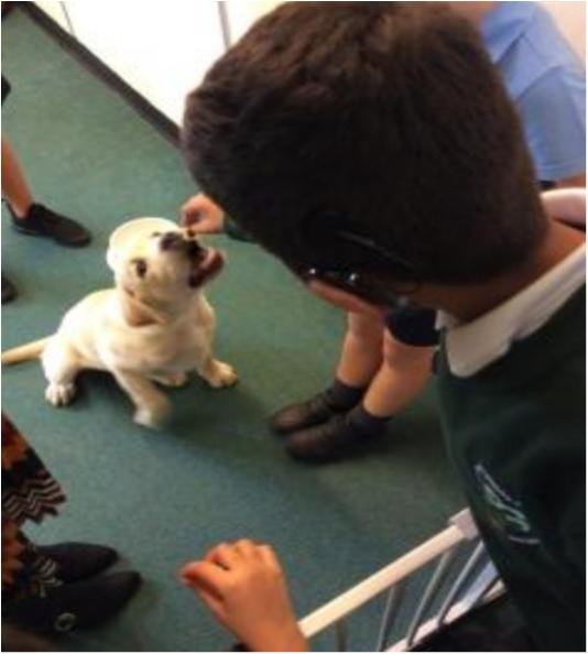 Enjoying the school dog. We enjoy our daily visits to say 'hello'.