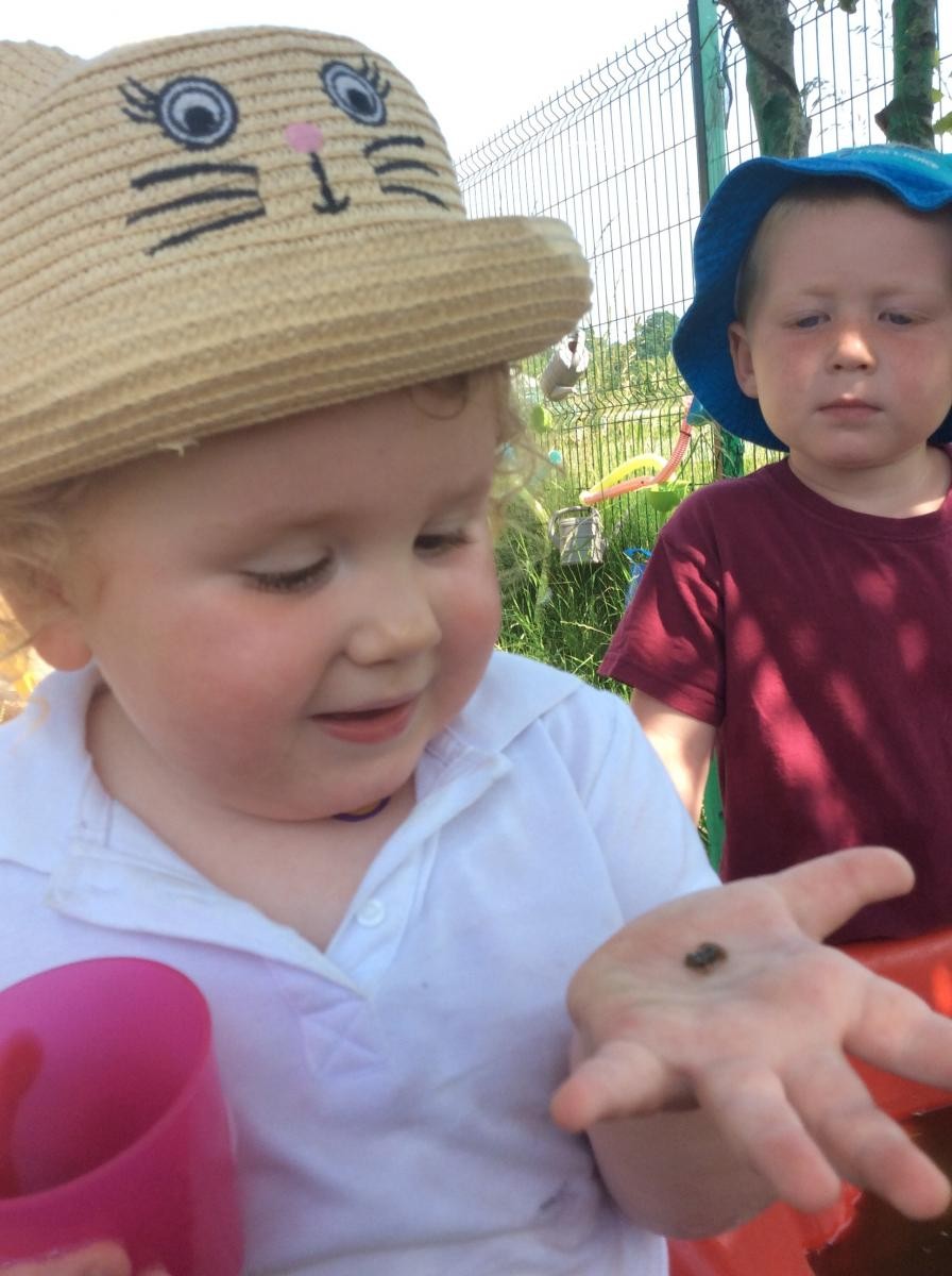 We have tiny frogs!