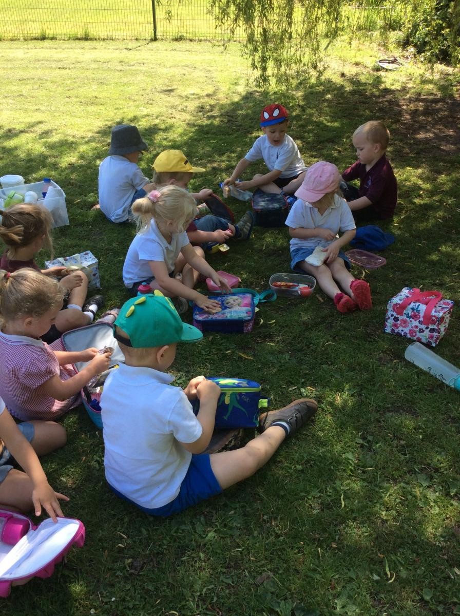 Picnic in the shade