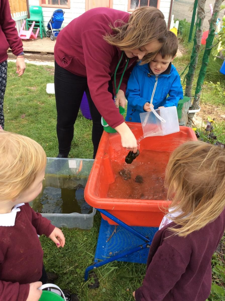 Fresh water for our tadpoles!