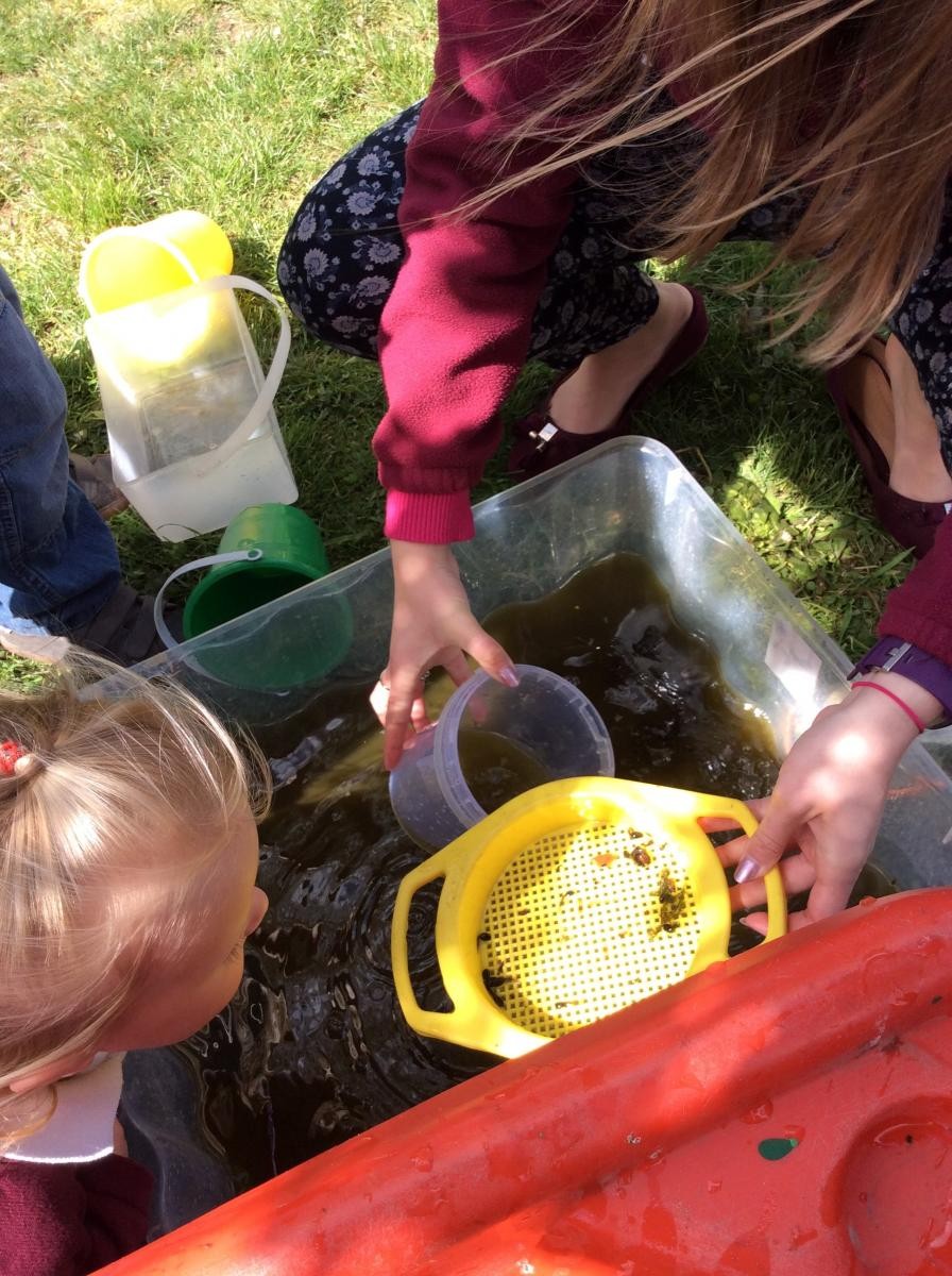 Fresh water for our tadpoles!