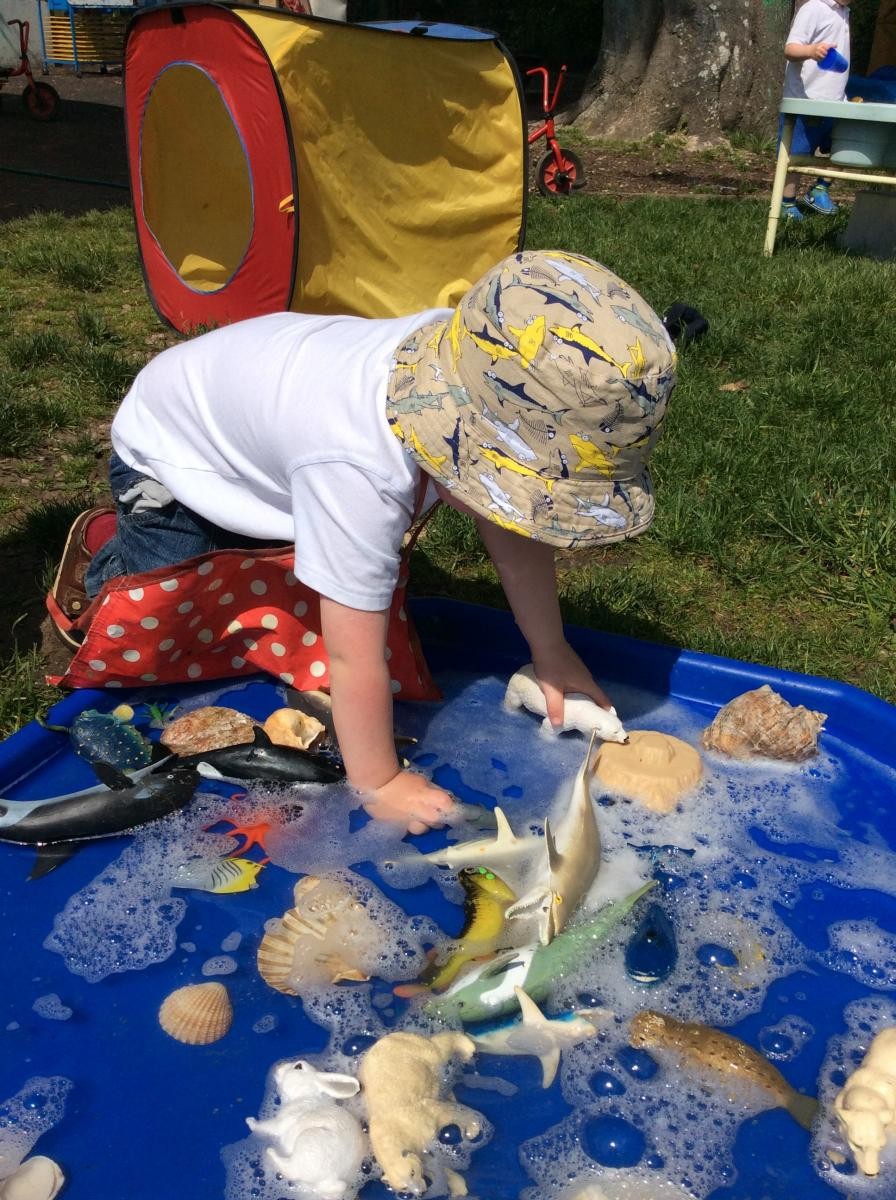 Sea life water play