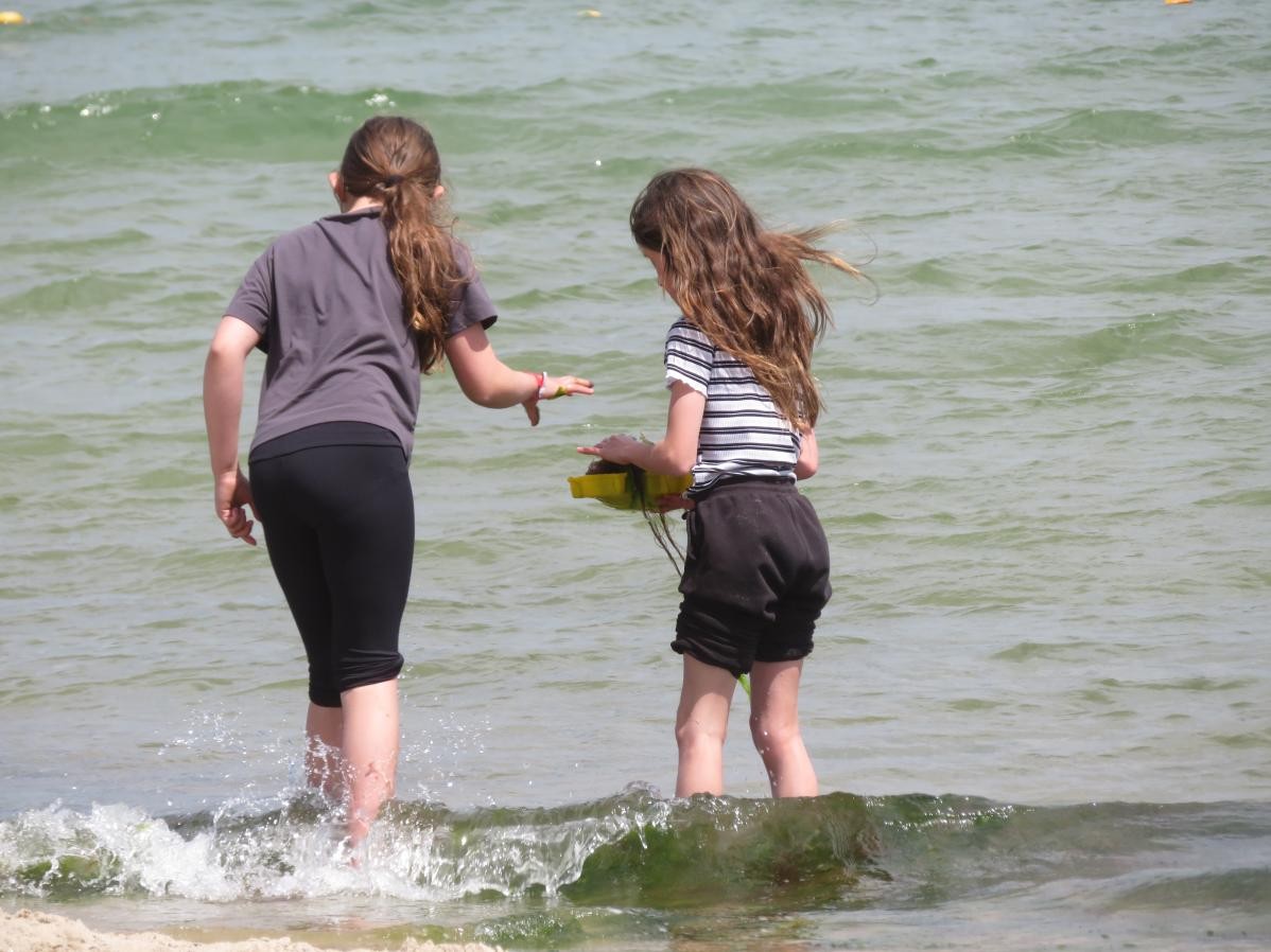 Pupils paddling in the sea