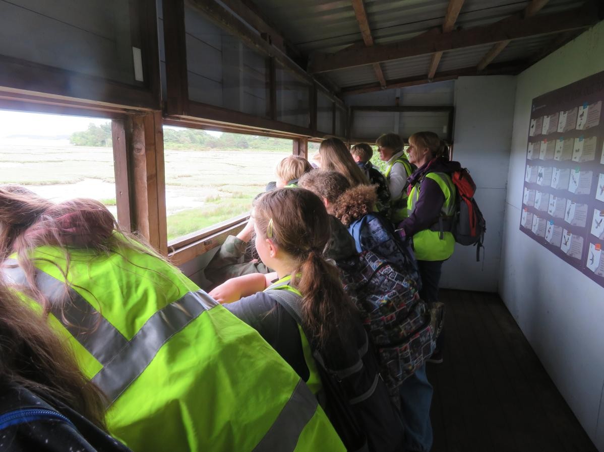 Pupils looking out from a bird hide