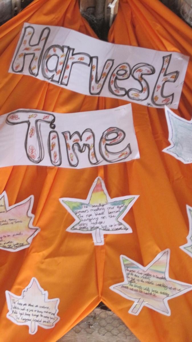 Posters and messages the pupils have written