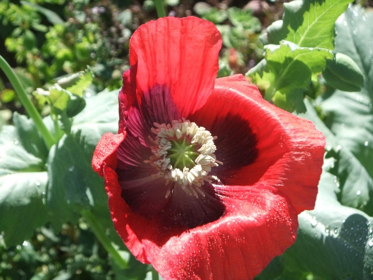 ASHURST CE PRIMARY 'PUPILS' ART EXHIBITION
15TH OCTOBER 2018