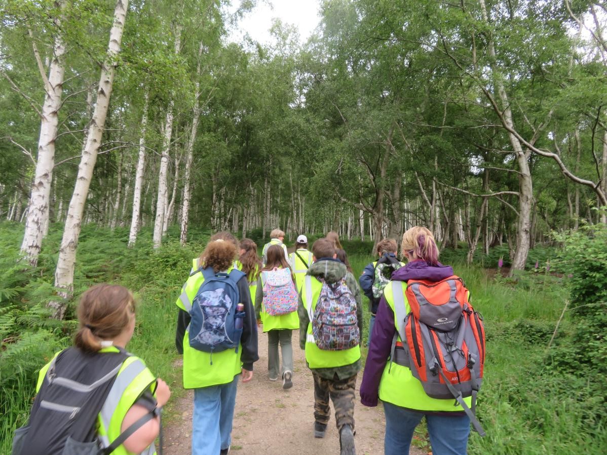 Pupils walking through woodland