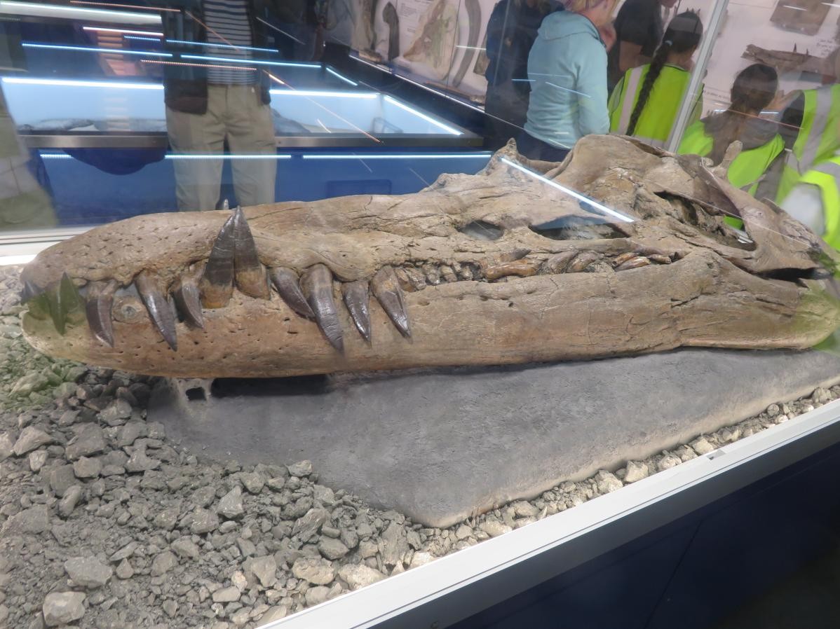 Museum exhibit