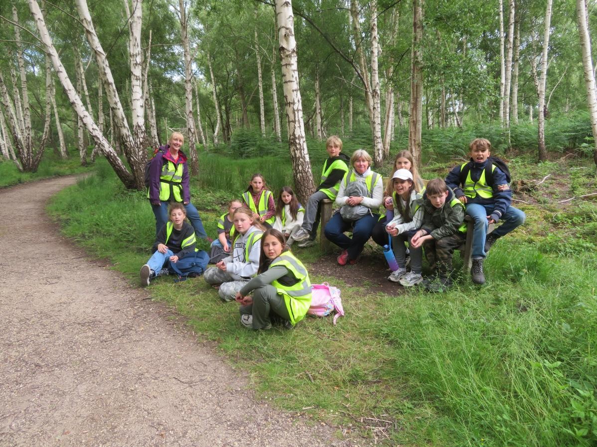 Pupils in the woods