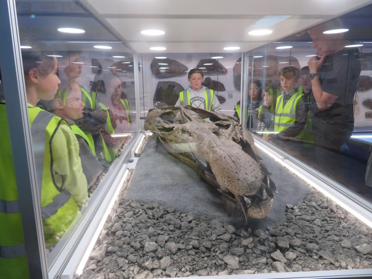 Pupils viewing exhibits in glass case