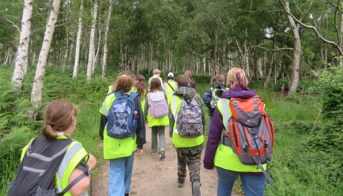 Pupils walking in woodland