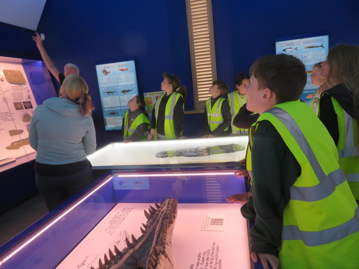 Pupils exploring museum exhibits