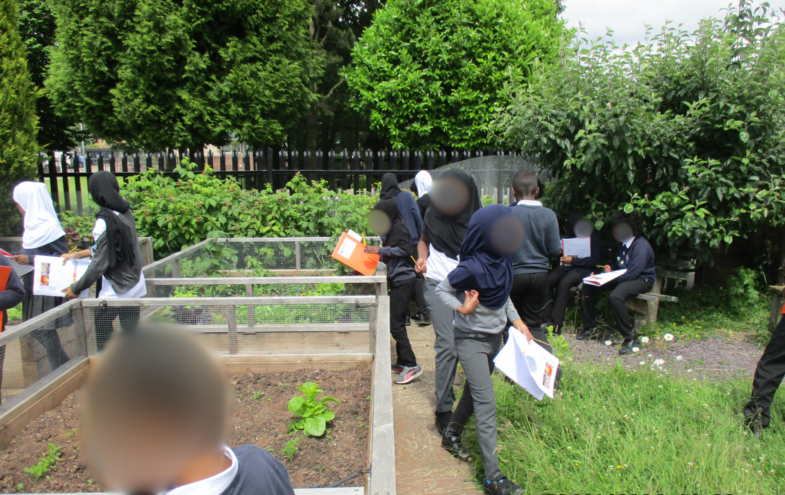 Assessing what would need to be planted and when in our growing beds 