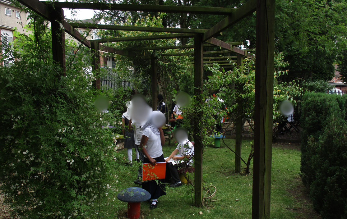 Exploring the wooded area 