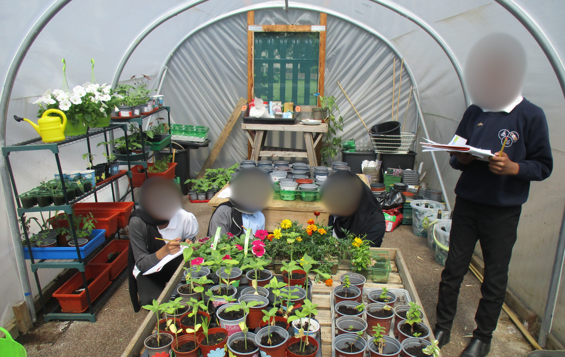 Looking at how plants have been pollinated in different ways