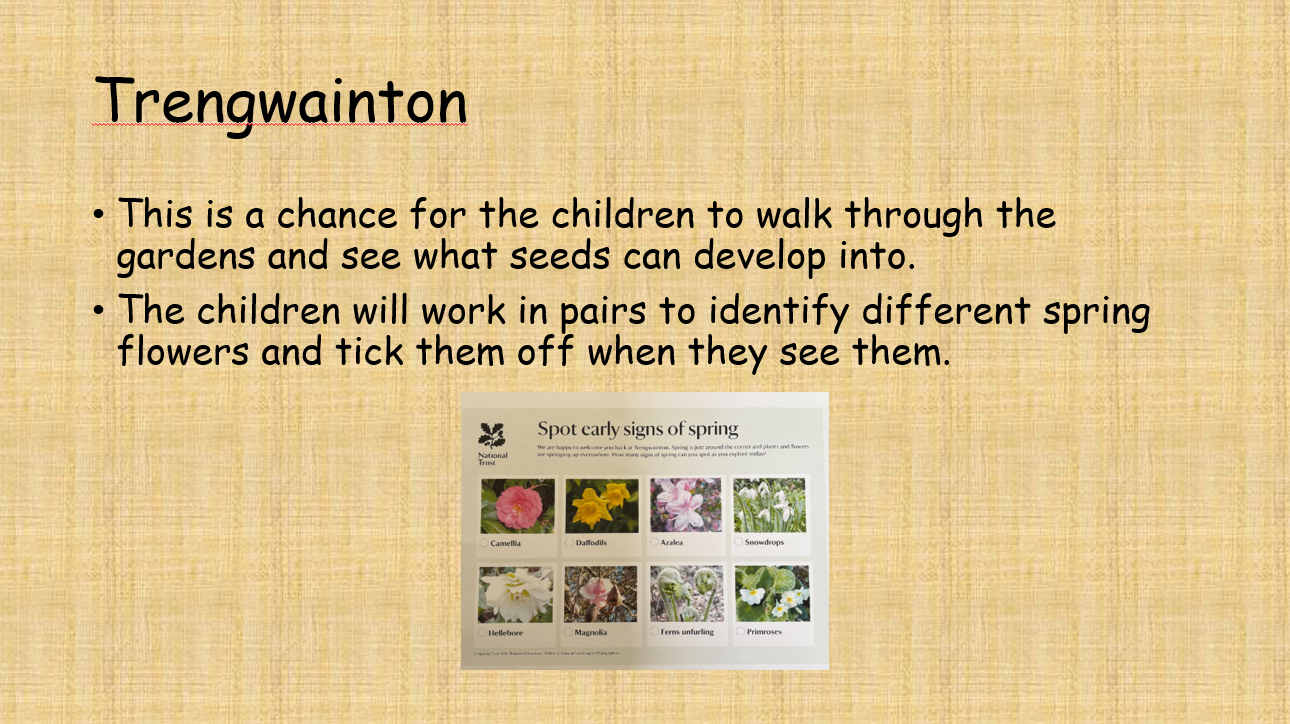 Trengwainton