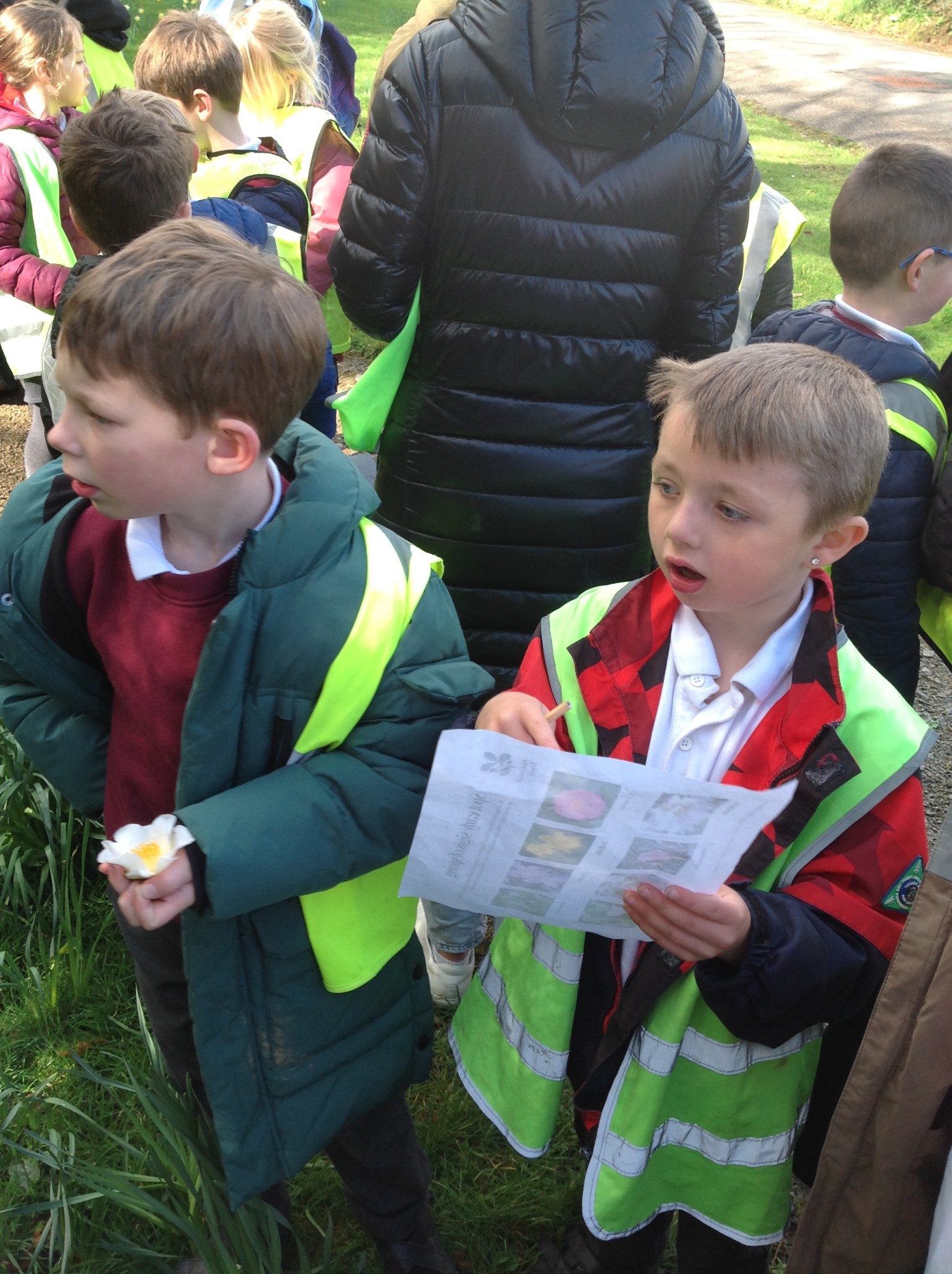 British Science Week 2024-25 in Action 