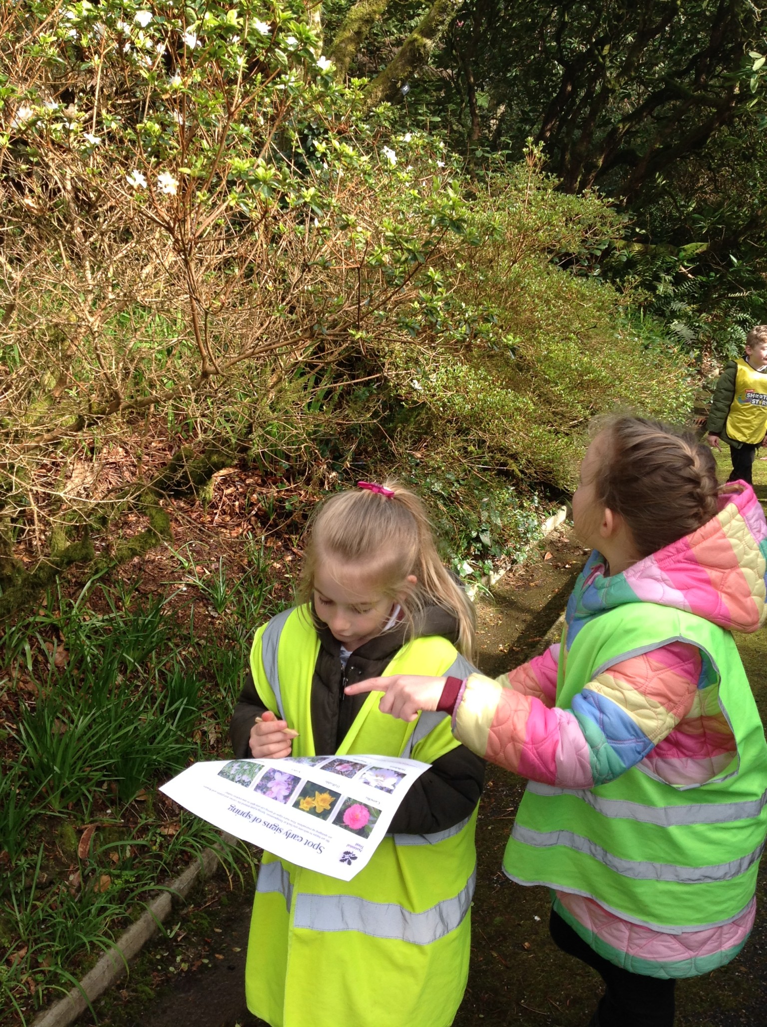 British Science Week 2024-25 in Action 