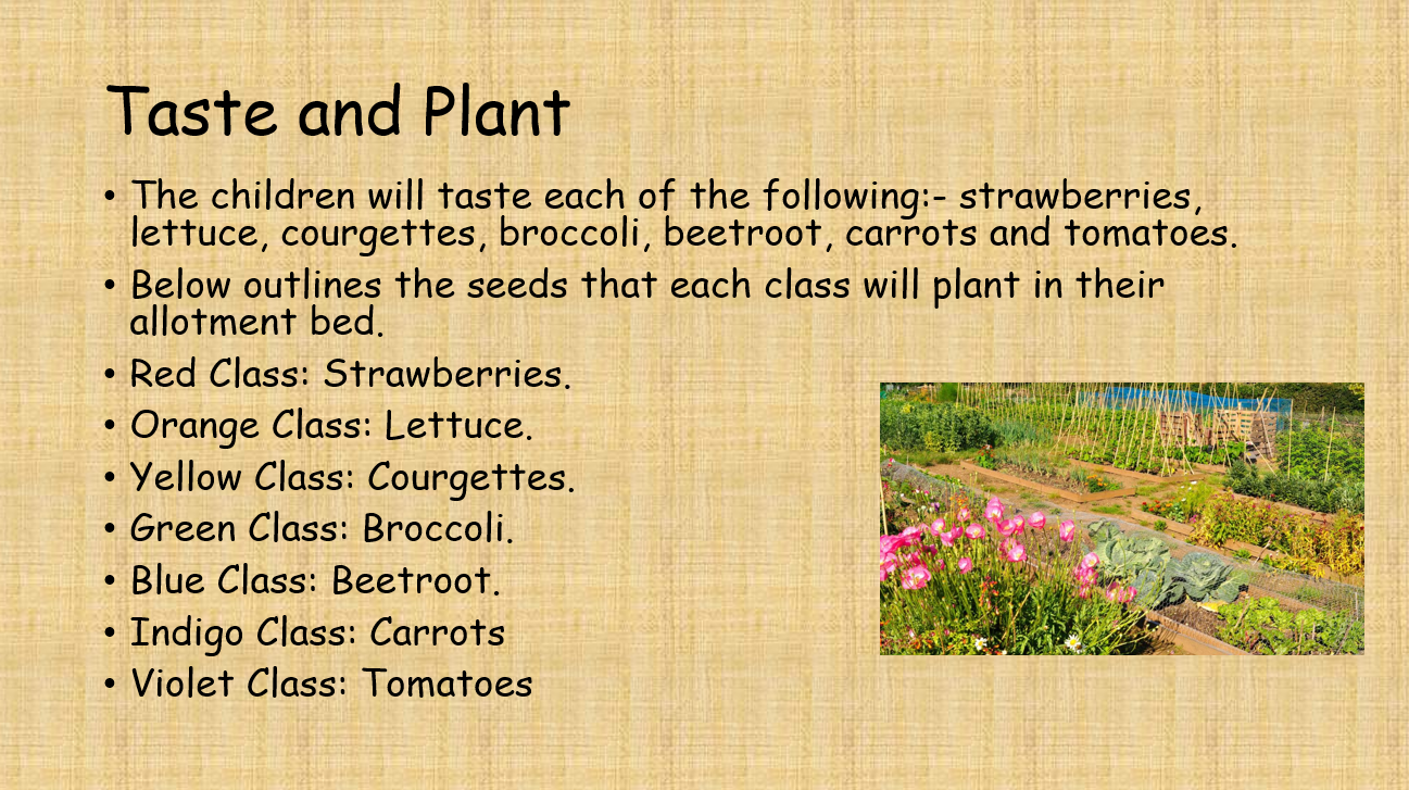 Taste and Plant