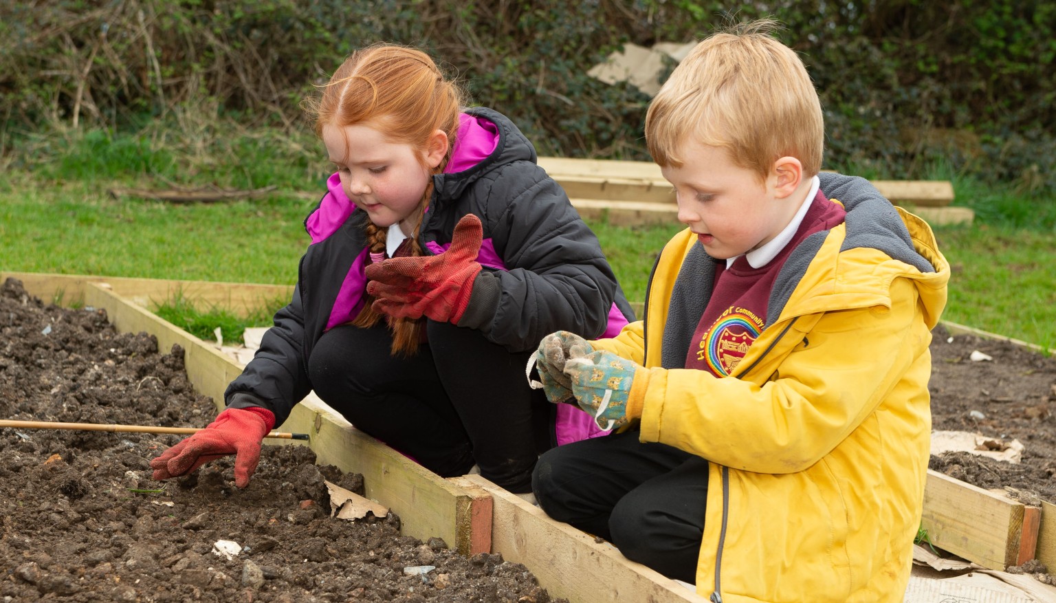 Planting