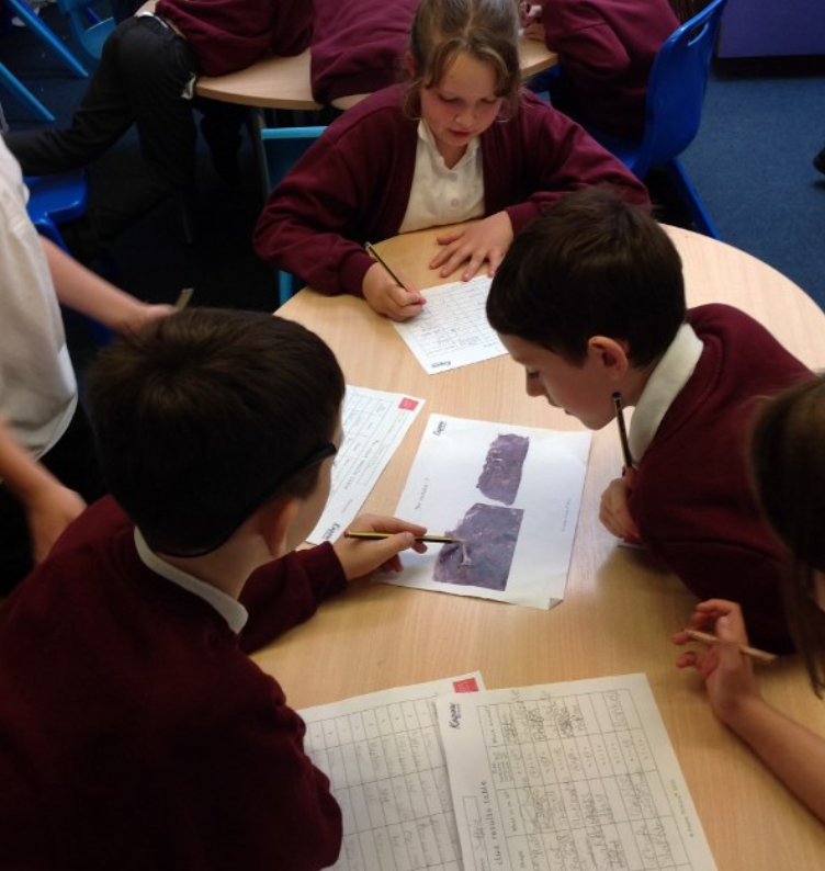 Science in Action