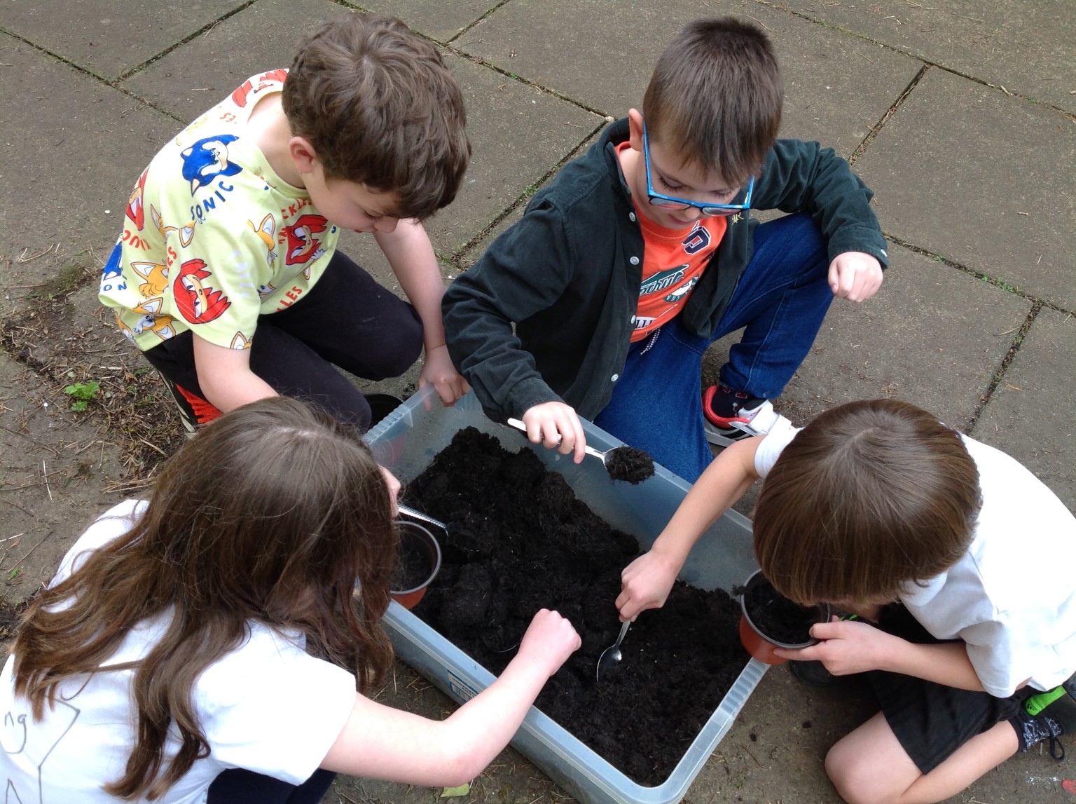 British Science Week 2024-25 in Action 